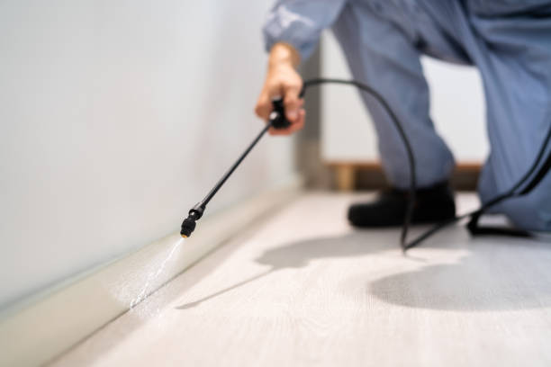 Licensed Pest Control service in Mulberry, NC - Show Me Pest Control