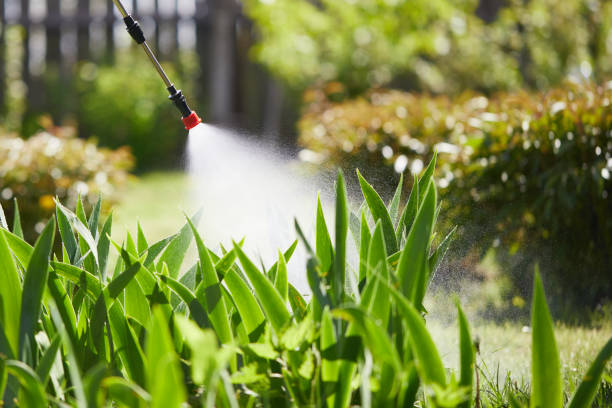 Tamper-Resistant Bait Stations for Rodents in Mulberry